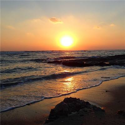 亚搏登入口app截图