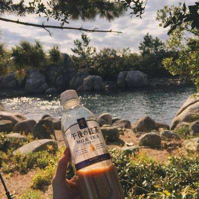 新宝十大登录平台